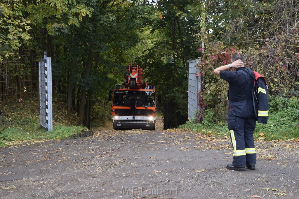 Einsatz BF Koeln PKW im See Koeln Esch P249.JPG - Miklos Laubert